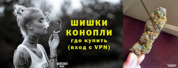 прущие крисы Новозыбков