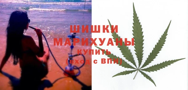 прущие крисы Новозыбков