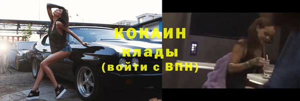 прущие крисы Новозыбков