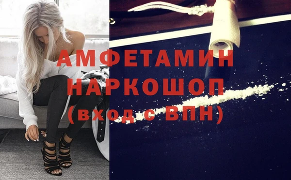 прущие крисы Новозыбков