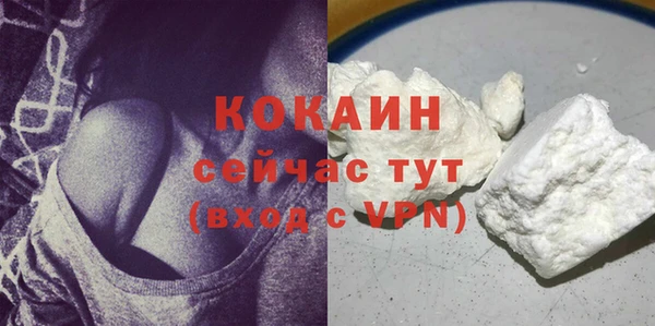прущие крисы Новозыбков