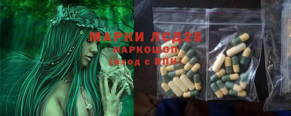 гидра Новокубанск