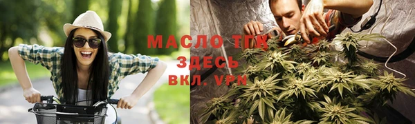 прущие крисы Новозыбков