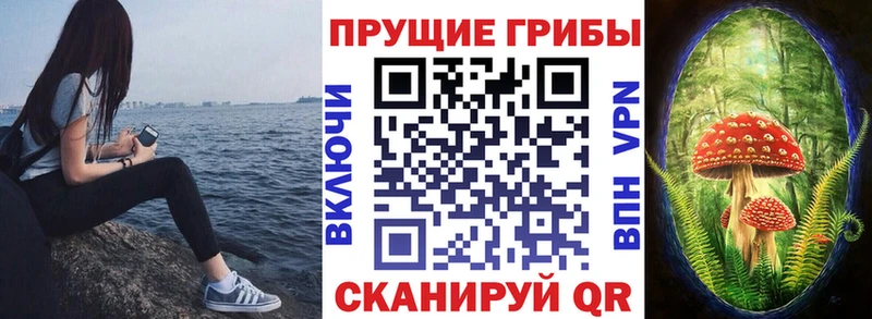 Псилоцибиновые грибы мицелий  даркнет телеграм  Александровск-Сахалинский 